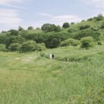 【みずほ台 不動産購入】とライフプラン｜教育費・老後資金とのバランス